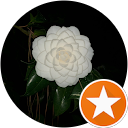 Rachel C. profile picture